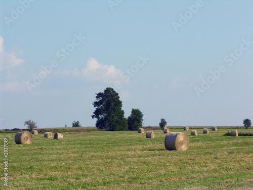 Foto paysage champêtre
