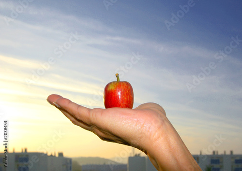 Pomme dans le creux de la main photo