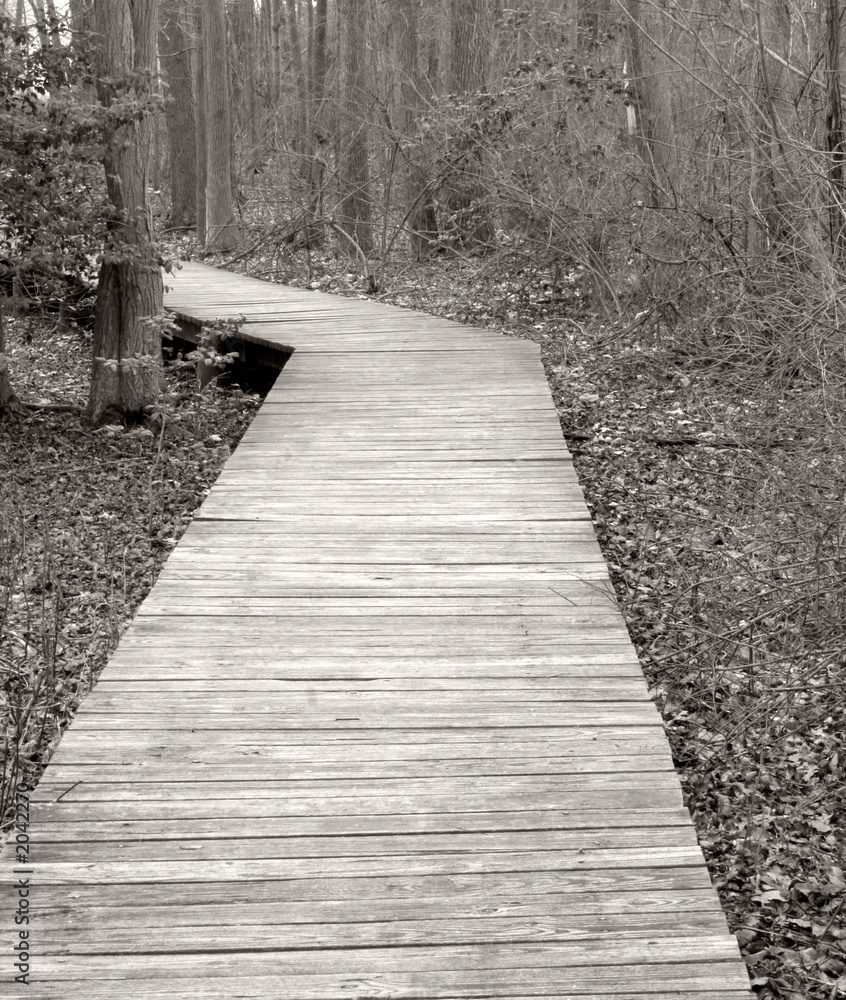 Obraz premium boardwalk