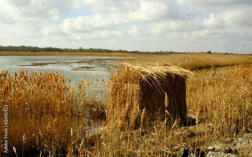 duck blind