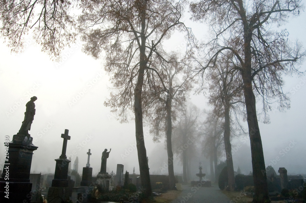 foggy cemetery