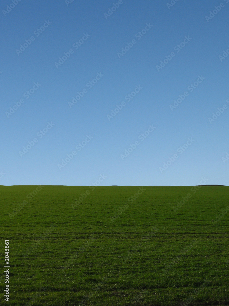 Fototapeta premium horyzon ciel herbe