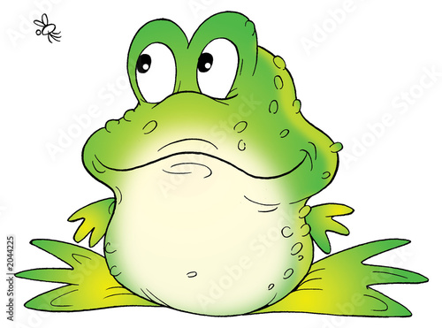 green toad