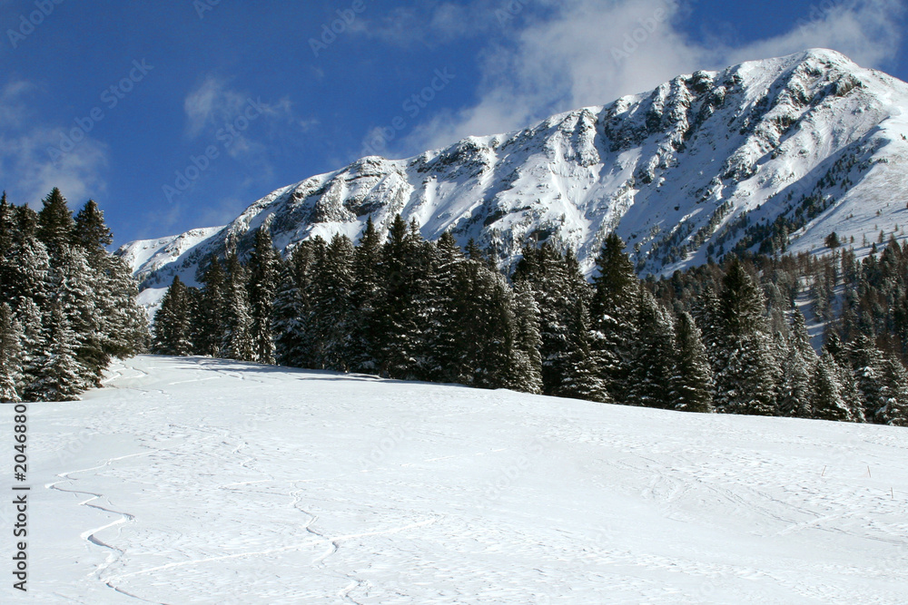 Fototapeta premium inverno in trentino