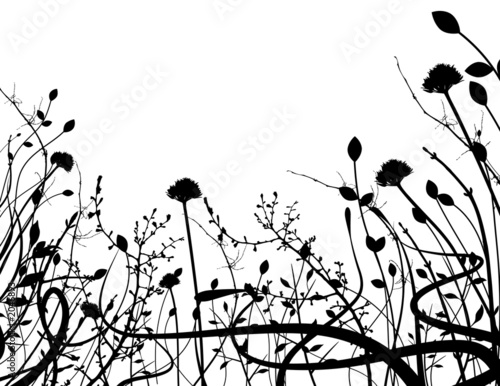 grungy organic frame