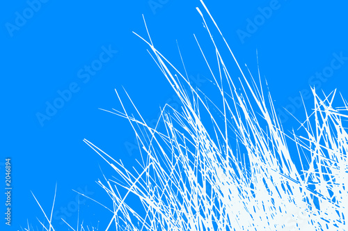 abstract organic background