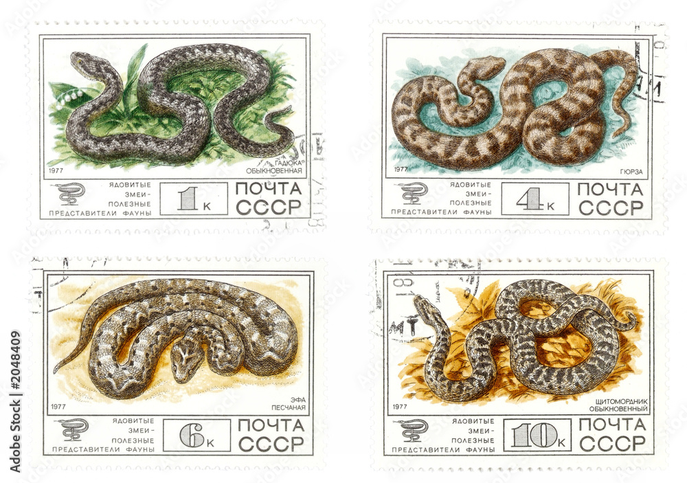 old ussr mail stamps with snakes old ussr mail stamps with snakes