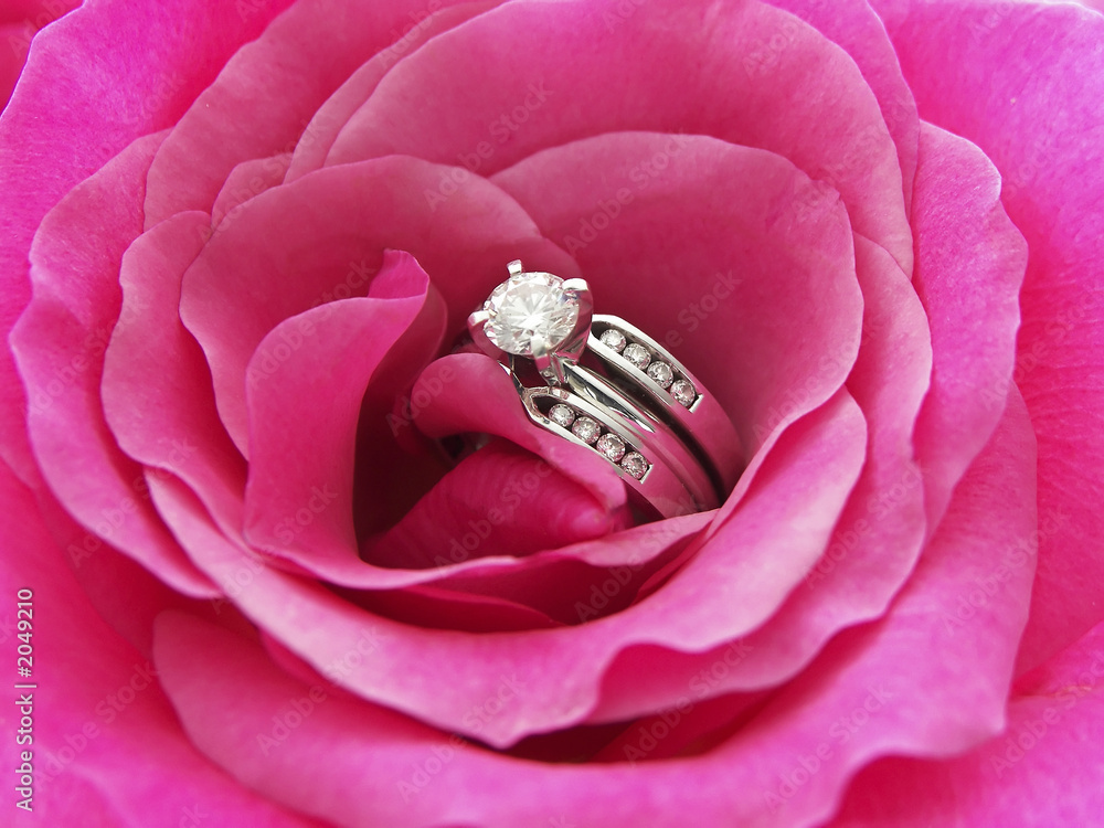 diamond rose diamond rose