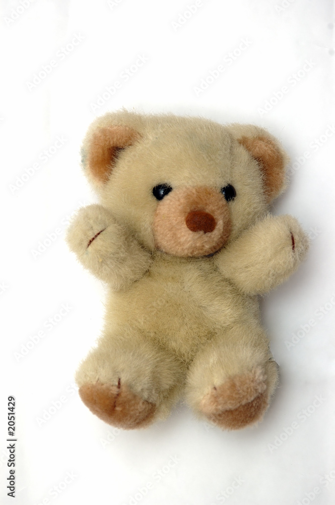 teddy bear teddy bear