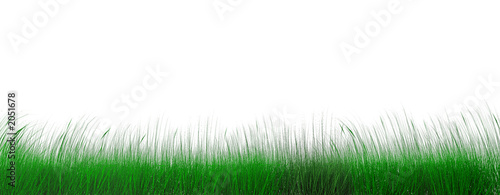 juicy green grass