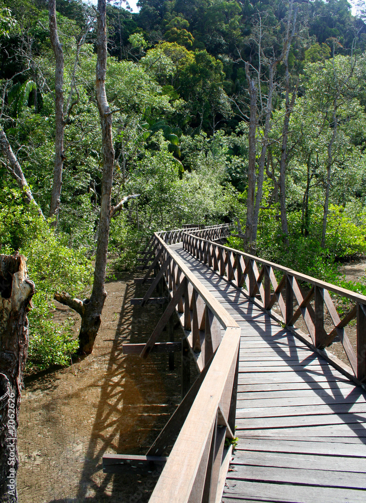 nature walk