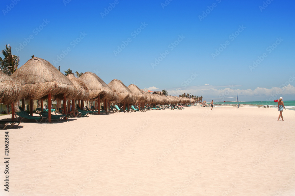thatched huts on the beach