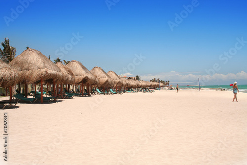 thatched huts on the beach © aceshot