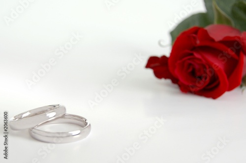 wedding rings and flower photo