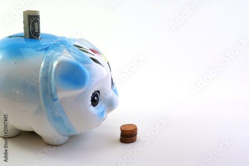 penny bank pig