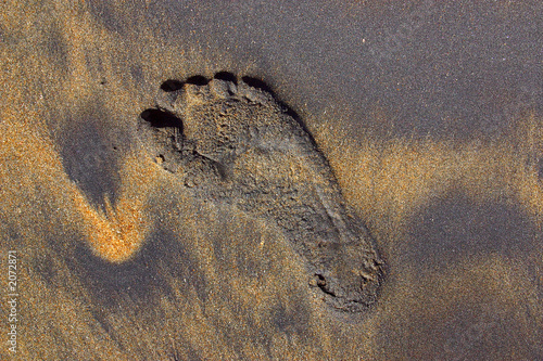 beach photo