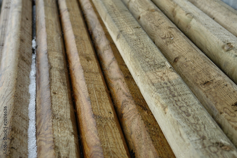 treated pine treated pine