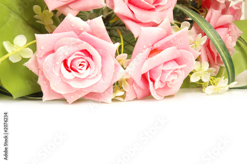 roses at the background and space for your text