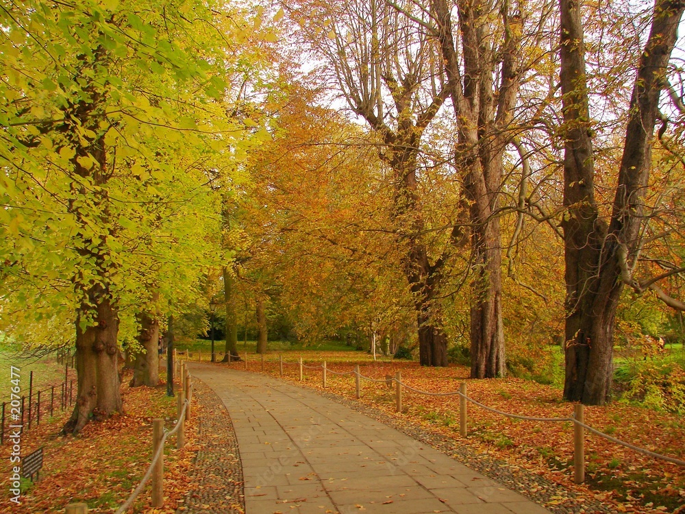 Naklejka premium autumn walk