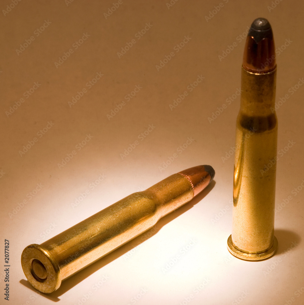 Fototapeta premium ammo