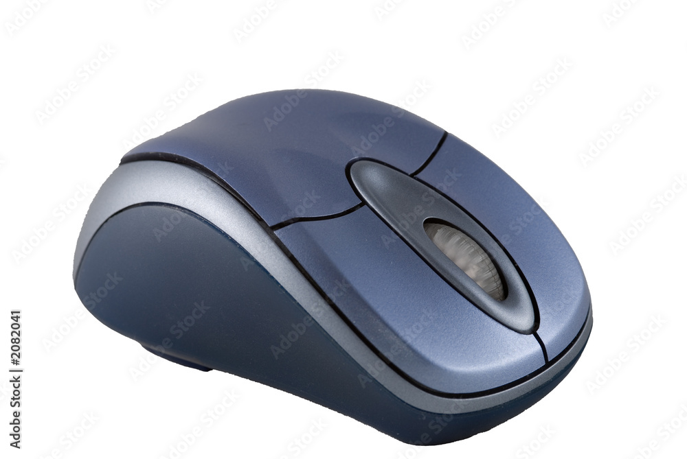 isolated mouse isolated mouse