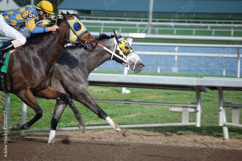 Photography the front runners