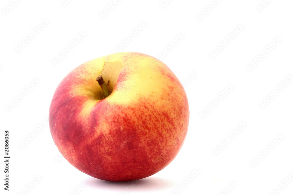 lonely apple on white lonely apple on white