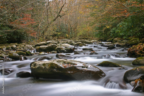 autumn stream in the great smoky mountains