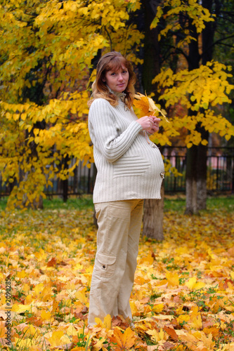 pregnant woman in autumn park hold maple leaf  5