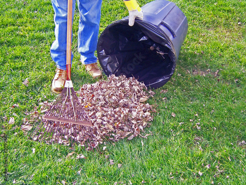 man raking leaves photo