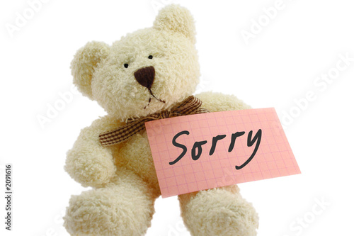 teddy - sorry