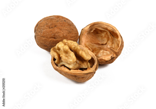 walnut