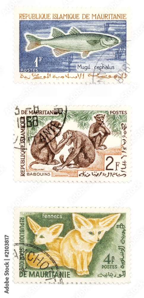 animals on post stamps from africa