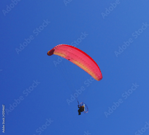 Wallpaper Mural paraglider Torontodigital.ca