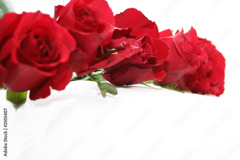 Fototapeta premium red roses garland