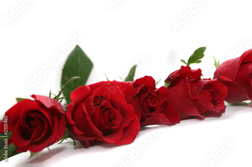 deep red roses garland