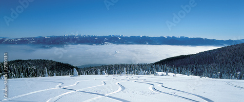 winter landscape