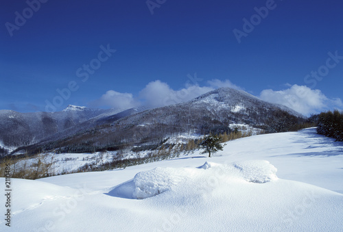 winter landscape © Radovan Kraker