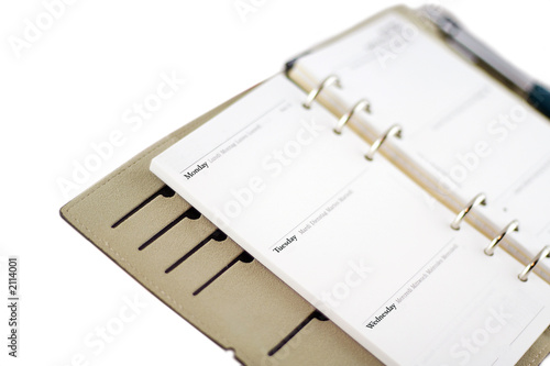 diary page in personal organiser