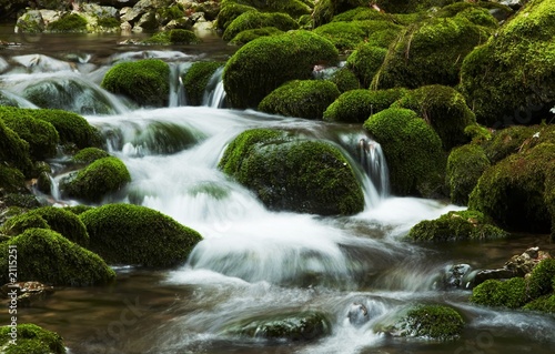 beautiful waterfall