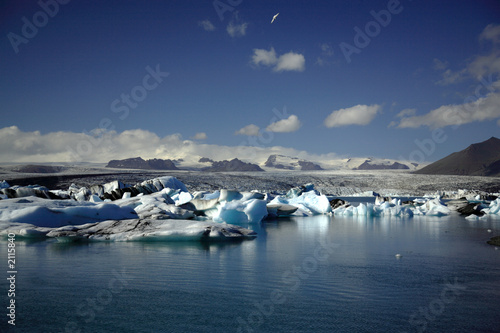 hundreds of icebergs © Deborah Benbrook