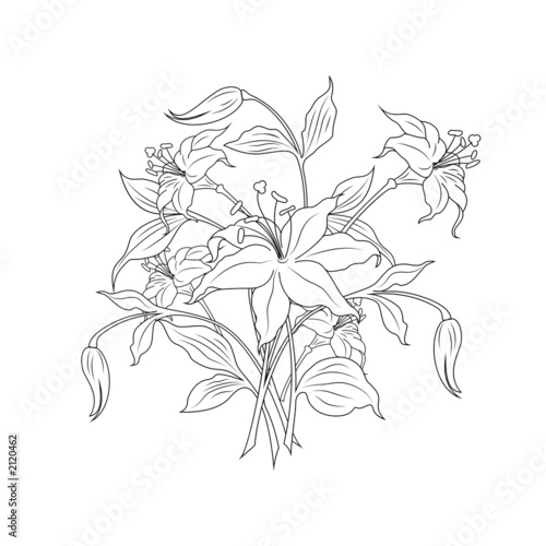 bouquet of flowers in black and white colors, vector illustratio