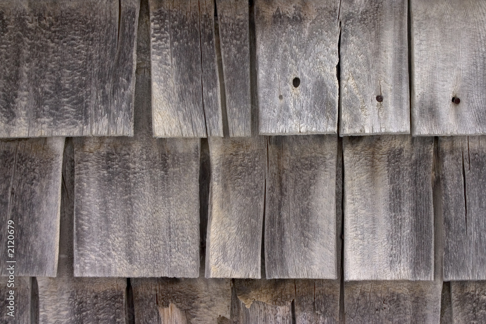 texture 2 texture 2