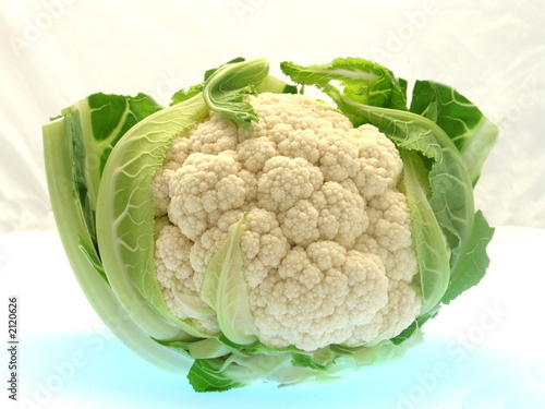 ein ganzer frischer Blumenkohl, umhüllt von seinen grünen Blättern freigestellt auf weißem Hintergrund photo