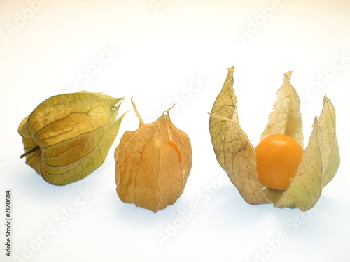 frische orangefarbene kleine reife Physalis Früchte im dünn papierig Kelch Hülle freigestellt auf weißem Hintergrund photo