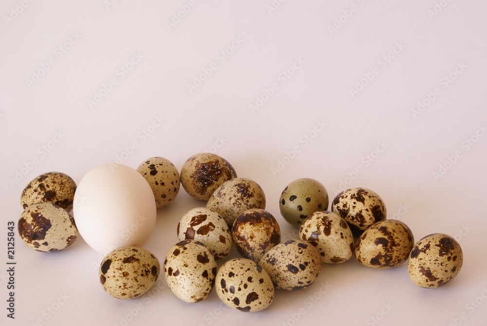 eggs pile on white eggs pile on white