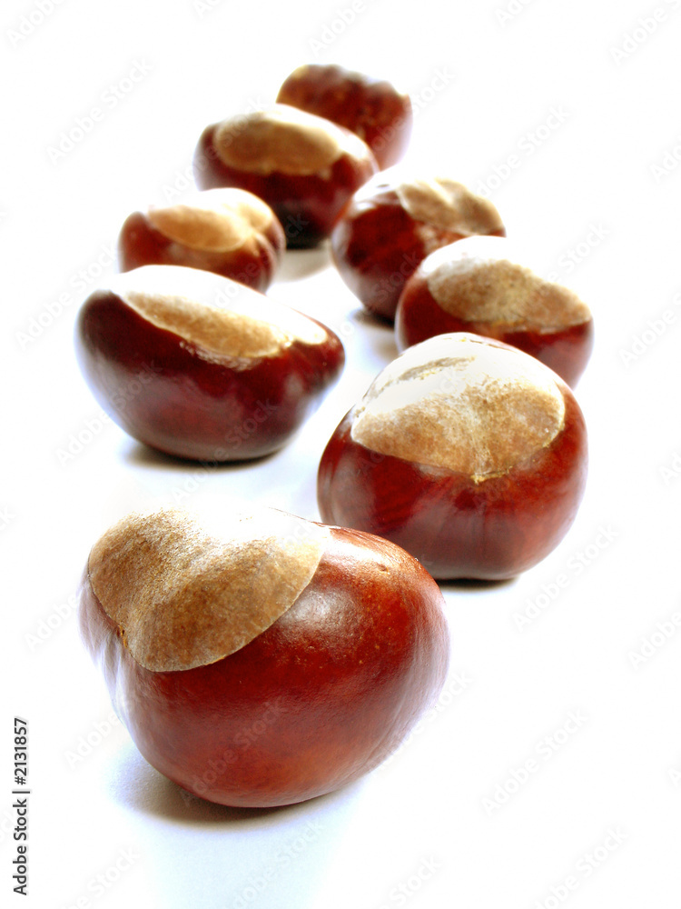 chestnuts chestnuts