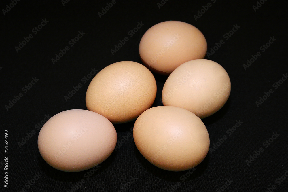 frühstückseier