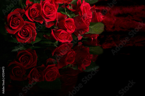 red rose