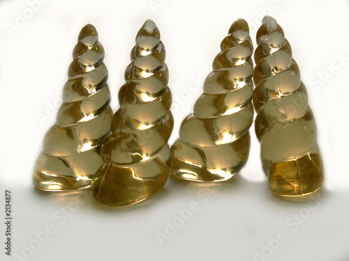 shell photo